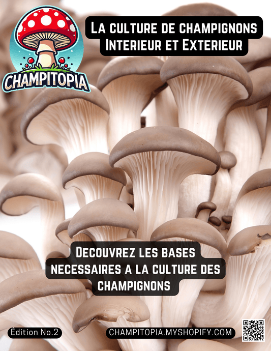 Le kit de culture Champitopia : prêt-à-pousser ET semence mycologique - Champitopia