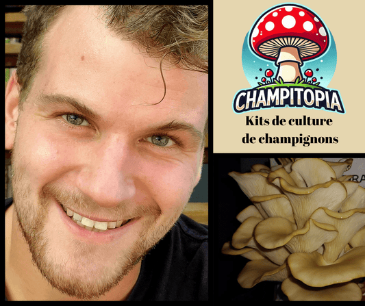 Mon cheminement : plus de 10 ans à cultiver le monde fascinant des champignons - Champitopia
