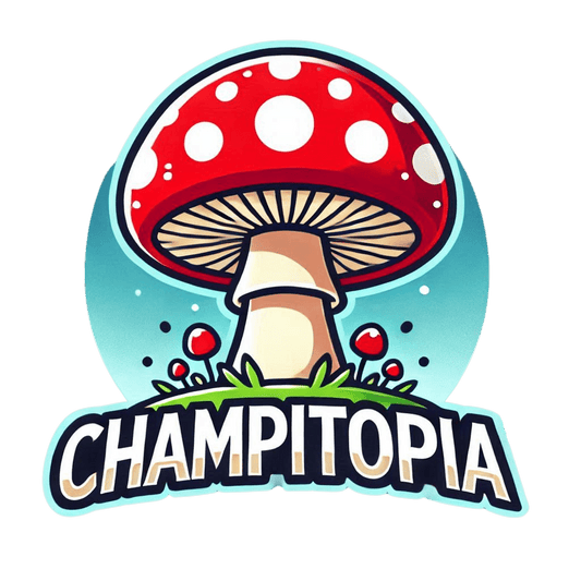 Présentation Produits - Champitopia Saguenay - Champitopia