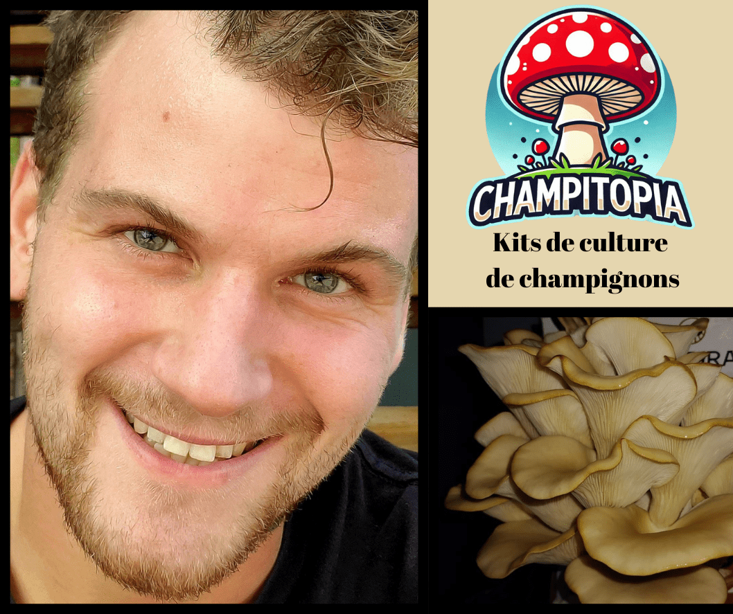 Mon cheminement : plus de 10 ans à cultiver le monde fascinant des champignons - Champitopia
