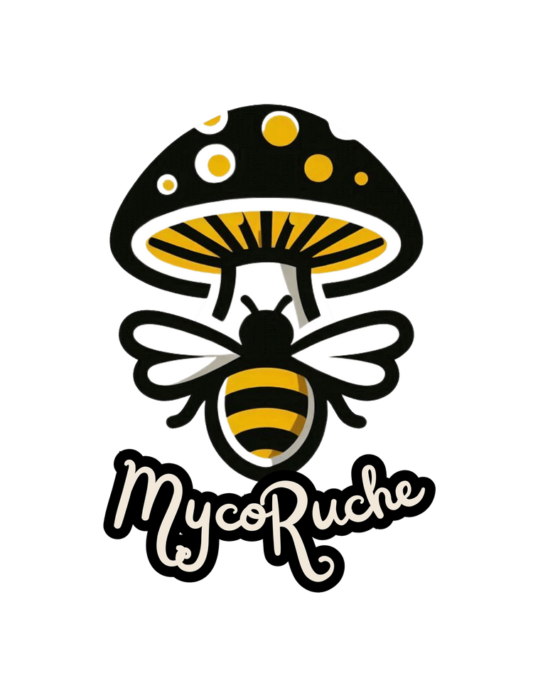 Financement la Mycoruche ! - Champitopia