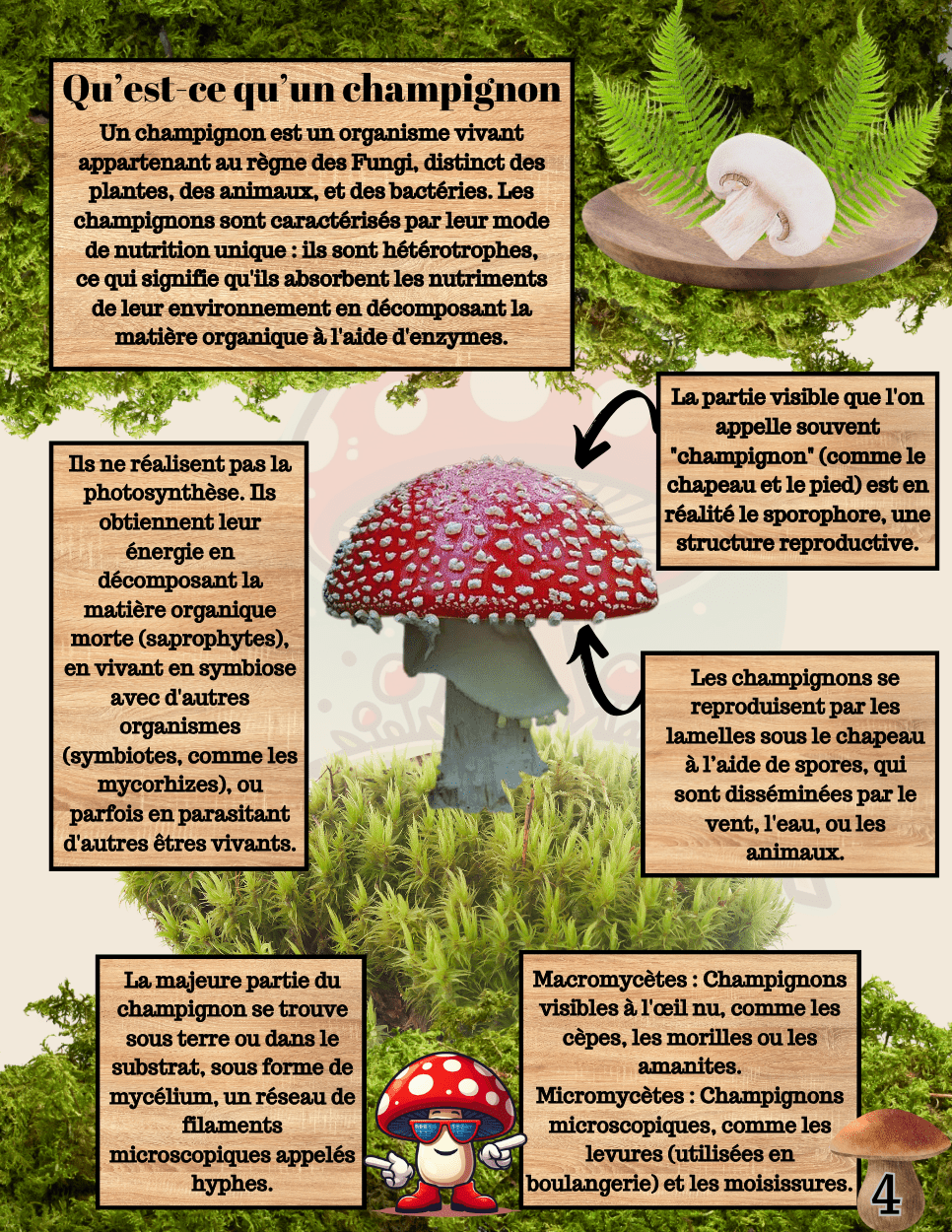 EBOOK documentaire - Édition 1 - ¨L'univers merveilleux des champignon¨ - Champitopia