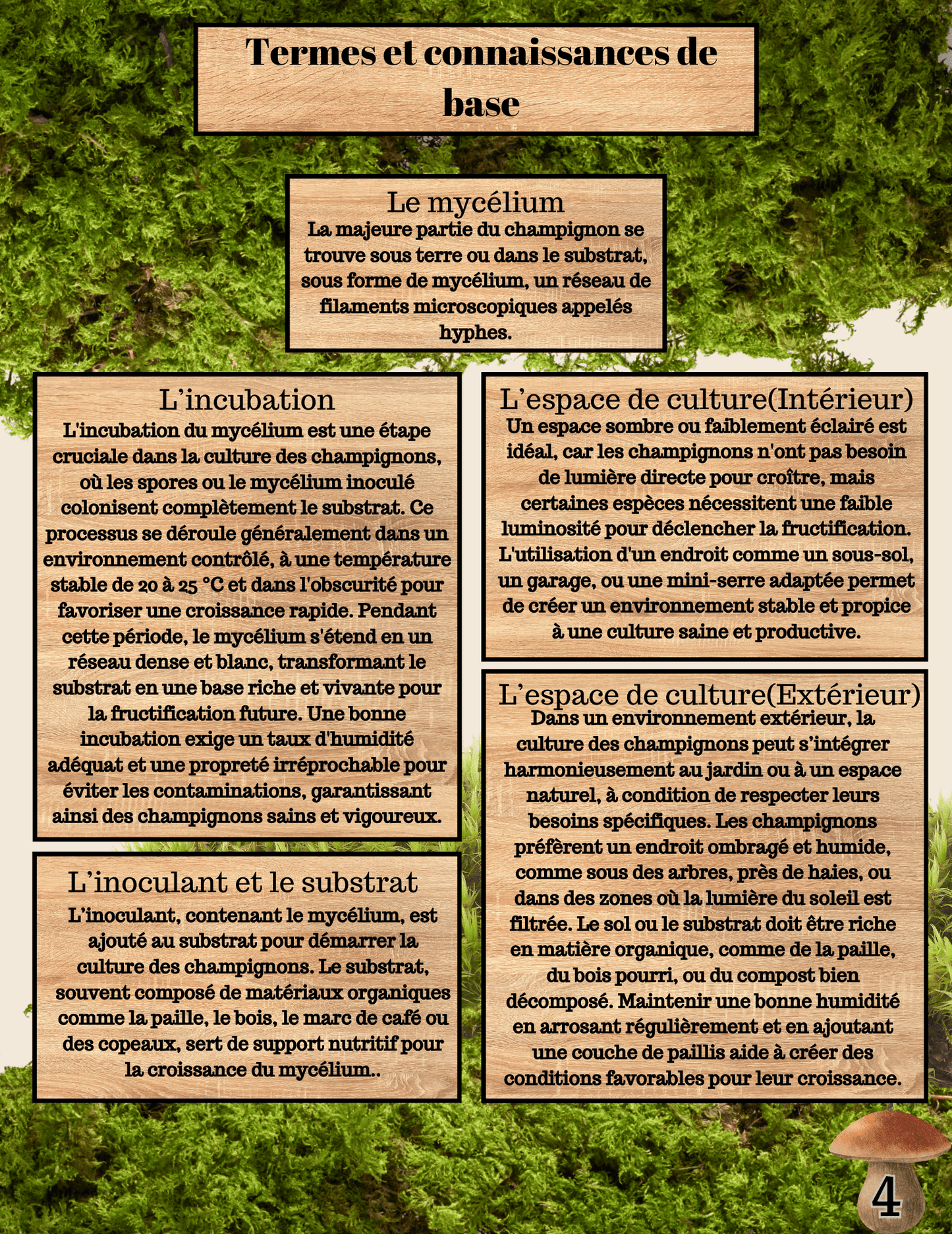 Champitopia - Édition No.2 - La culture de champignons intérieur et extérieur - Champitopia