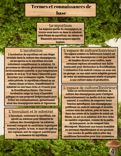 Champitopia - Édition No.2 - La culture de champignons intérieur et extérieur - Champitopia