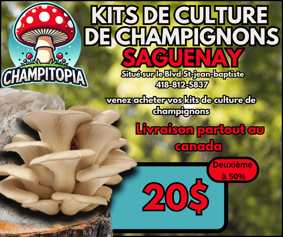 Kit de Culture de Champignons – Faites Pousser Vos Propres champignons à la Maison ! 🍄🌱 (En prévente – Sortie en avril ) !) - Champitopia