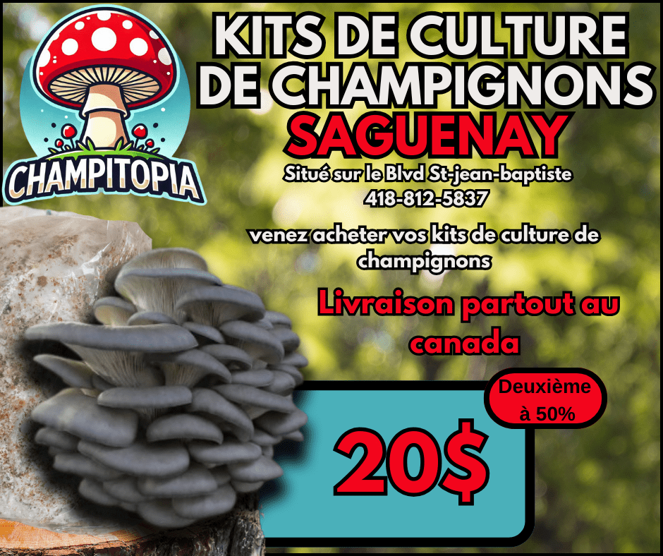 Kit de Culture de Champignons – Faites Pousser Vos Propres champignons à la Maison ! 🍄🌱 (En prévente – Sortie en avril ) !) - Champitopia