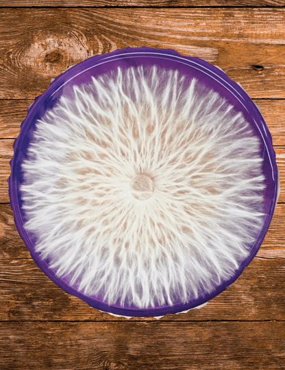 Formation - Le king des shrooms (laboratoire) - Champitopia