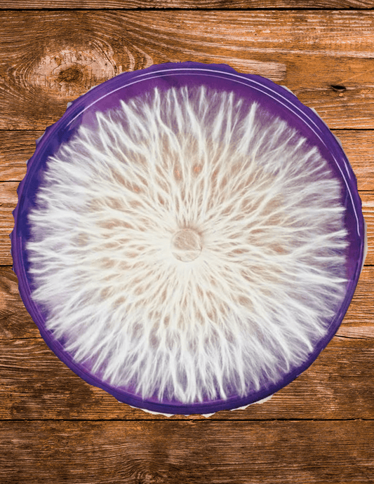Formation - Le king des shrooms (laboratoire) - Champitopia