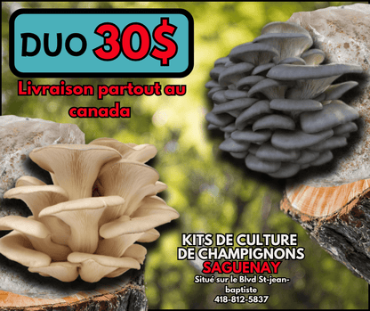 Kit de Culture de Champignons – Saguenay - Québec - Champitopia