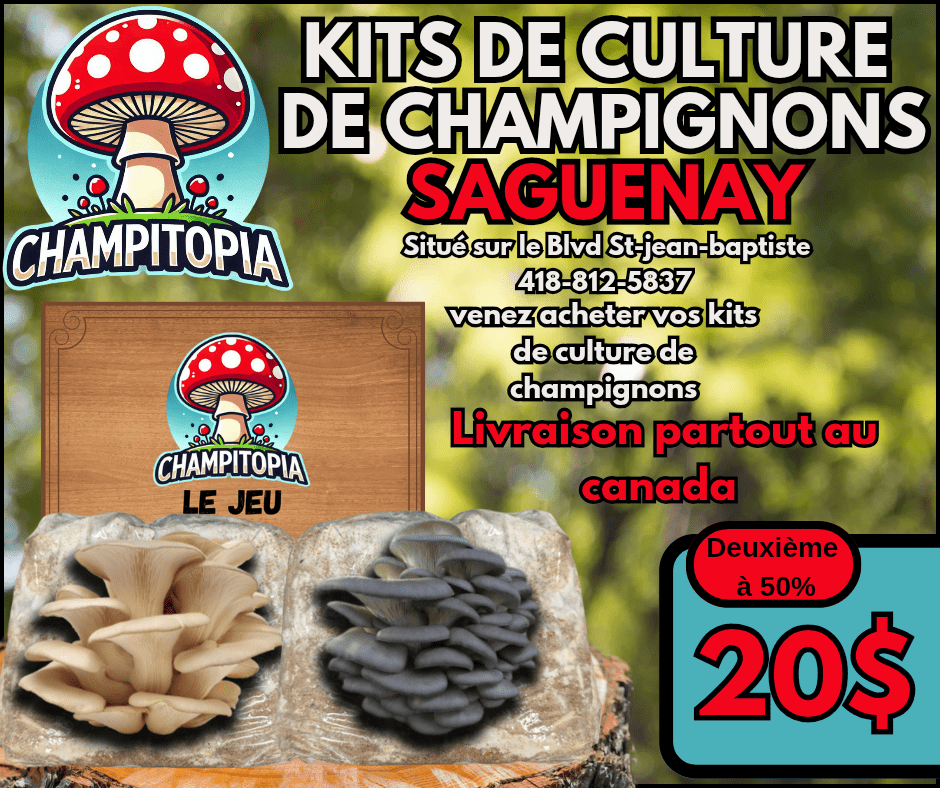 Kit de Culture de Champignons – Saguenay - Québec - Champitopia