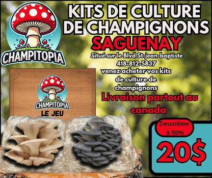 Kit de Culture de Champignons – Saguenay - Québec - Champitopia